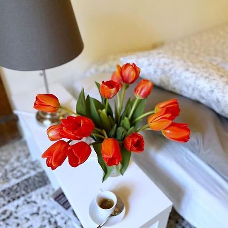 Il Canto De' Cenci Apartment 아레초 외부 사진