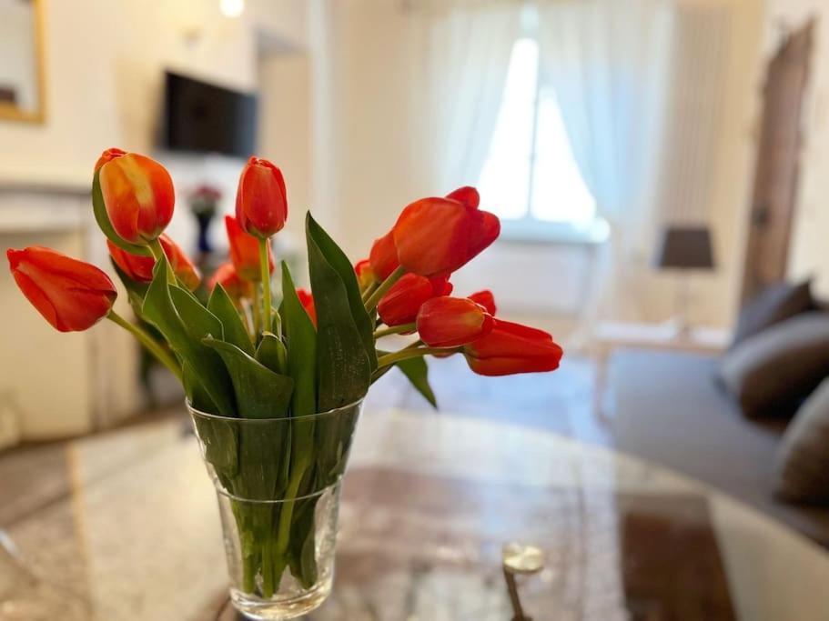 Il Canto De' Cenci Apartment 아레초 외부 사진