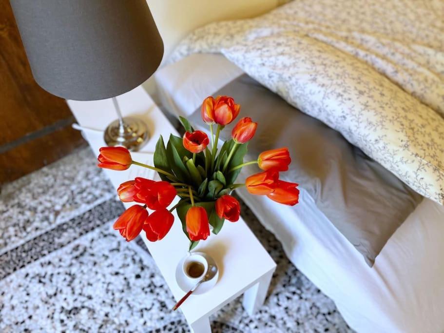 Il Canto De' Cenci Apartment 아레초 외부 사진