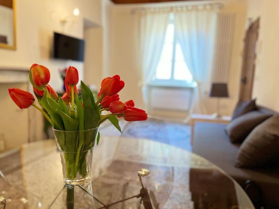 Il Canto De' Cenci Apartment 아레초 외부 사진