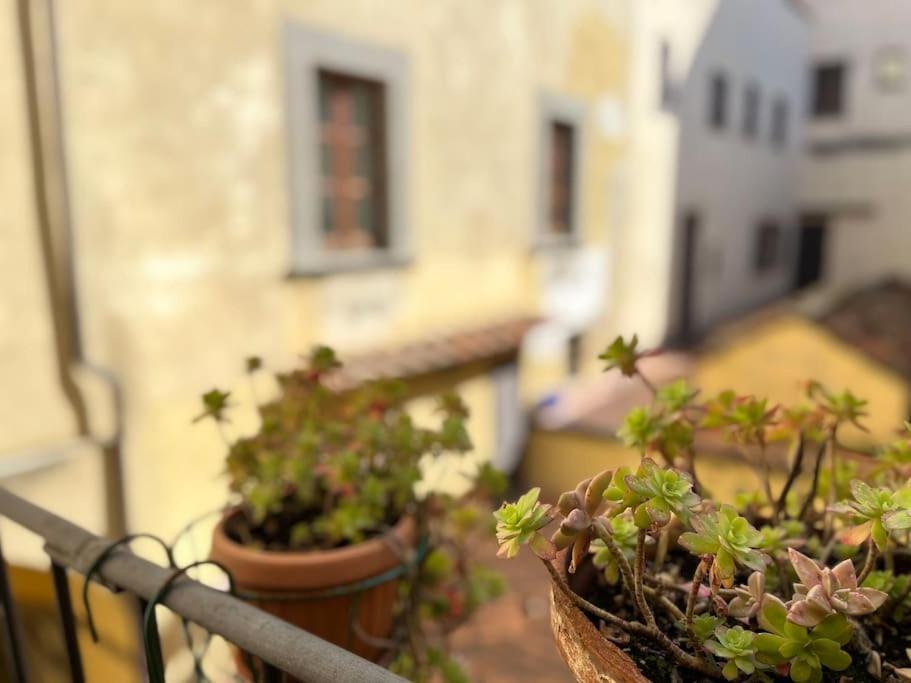 Il Canto De' Cenci Apartment 아레초 외부 사진